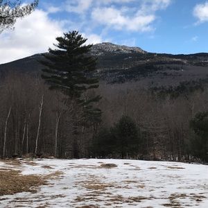 Meet your Posher, Corey